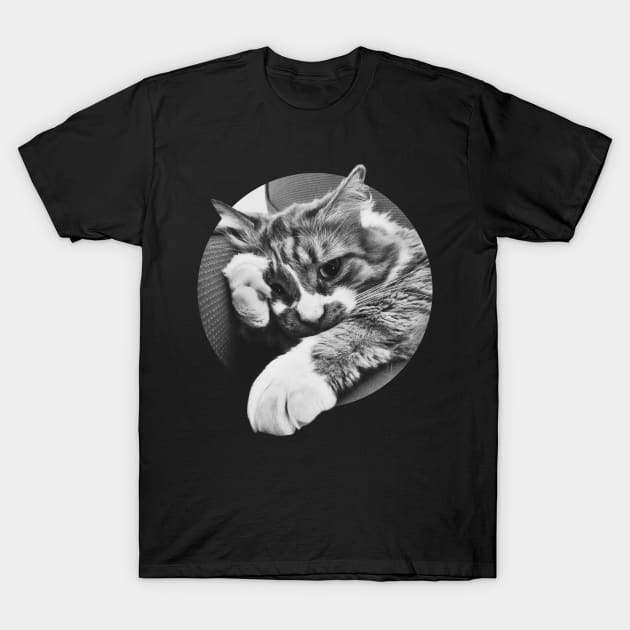 SIDE EYE CAT IS OVER IT. UGH. Funny kitten meme image. T-Shirt by YourGoods